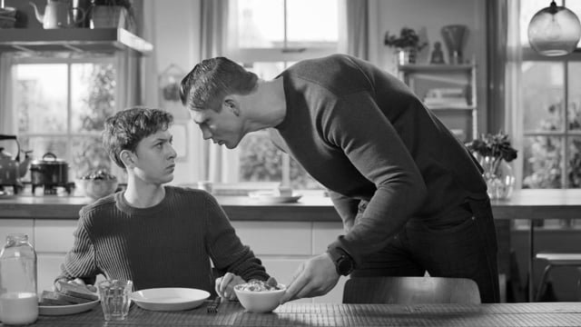 Zonnatura — Gottesmann Agency Filmprojekt